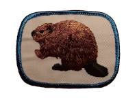 Click to enlarge Beaver